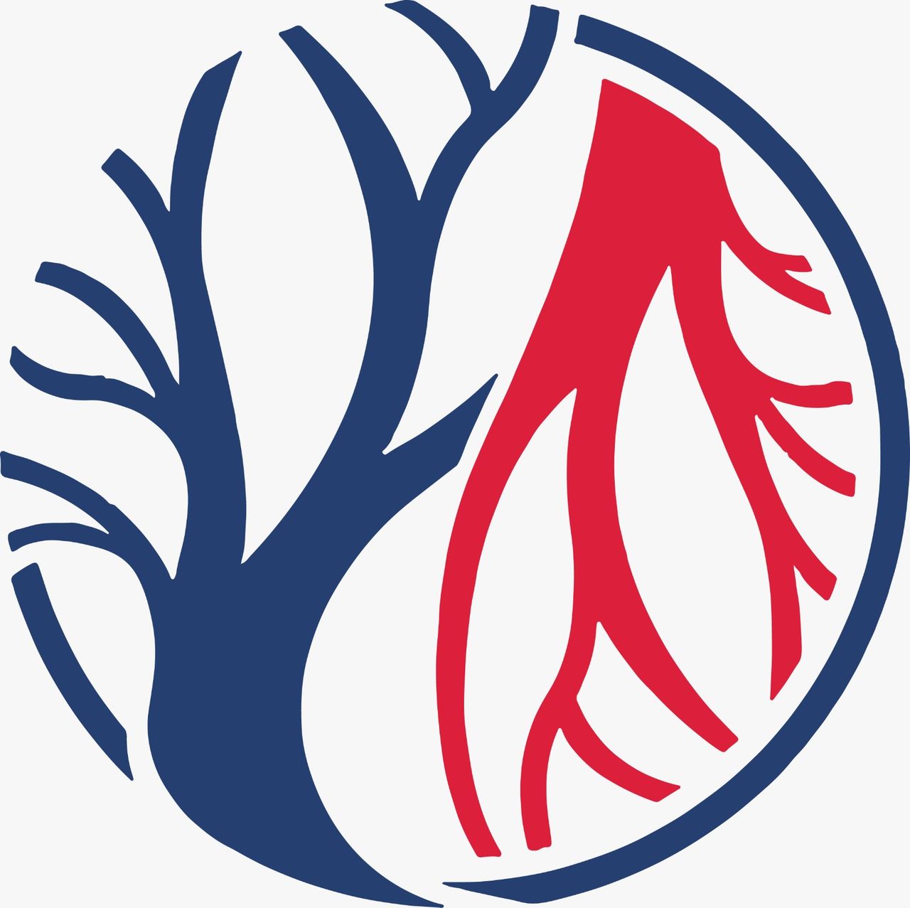 Logo angiologia Dott. Vincenzo Montemurro